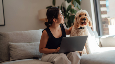 How PetsRadar finds the best deals