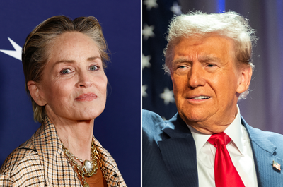 Sharon Stone condemns ‘ignorant, arrogant’ Americans for Trump win