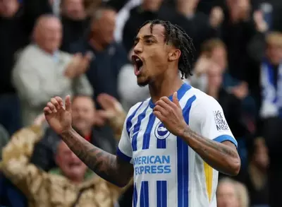 Brighton FPL Tips GW13: Best Brighton players for your teams