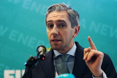 Harris dismisses ‘project fear’ approach to Sinn Fein