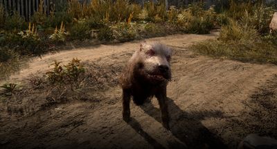 In Stalker 2's horror-filled Zone, nothing is more terrifying than encountering a small, malnourished dog