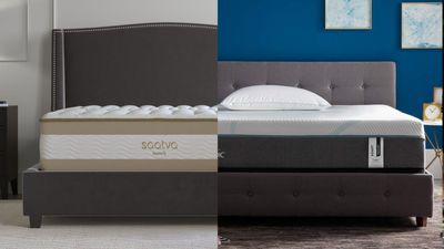 Saatva RX vs Tempur-Pedic Tempur-Adapt: Which mattress should you buy if you have a bad back?