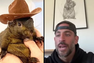 Family of Internet-Famous Squirrel to Sue New York, Claiming Agents 'Executed' Pet And Fabricated Evidence to Justify Killing