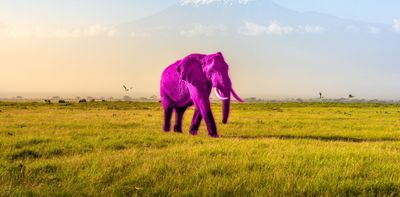 The pink elephant test: what your visual imagination predicts about your ability to control your thoughts