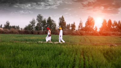 India has abundant sunlight then why are people deficient in Vitamin D? Mistakes to avoid