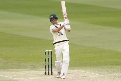 Border-Gavaskar Trophy: Uncapped Beau Webster joins Australia squad for Adelaide Test against India