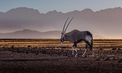 Thirst by Giles Foden review – adventures on the Skeleton Coast