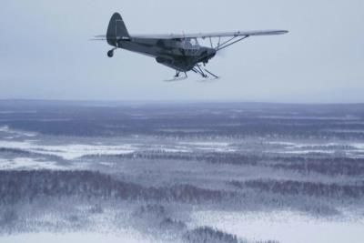 Alaska Turkey Bomb: Flying Turkeys To Remote Residents