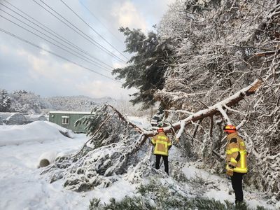 Five dead and flights cancelled as Seoul battered by heavy snowfall for second day