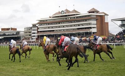 Andy Newton's Horse Racing Predictions (Saturday, 30th Nov)