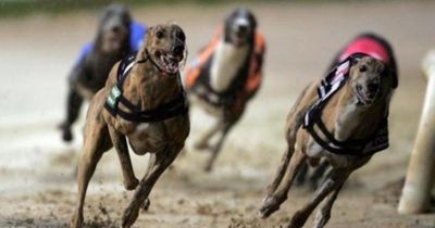 MSPs do not support ban on greyhound racing in Scotland