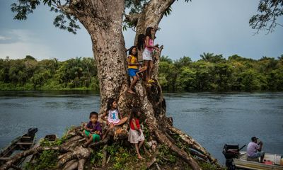 What’s behind the alarming rise in birth defects in Brazil’s illegal gold mining capital?