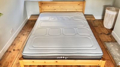 Is this bamboo & charcoal mattress a sleep gimmick or a game changer?