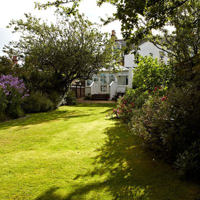 When to apply lawn sand to improve drainage - experts urge gardeners to complete this task in the next few days before it’s too late