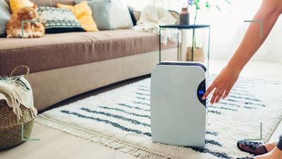 How much does it cost to run a dehumidifier? Experts explain and share tips for reducing running costs