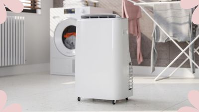 How much does it cost to run a dehumidifier? Experts explain and share tips for reducing running costs