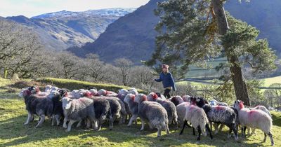 Labour warned over death duty hit on Scottish tenant farmers