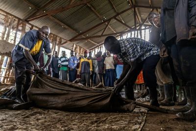 At Least 15 Dead, 113 Missing, In Uganda Landslides