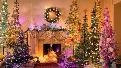 How to choose the perfect Christmas lights – tips for getting the style, length, and color right for your home