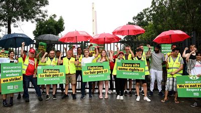 'Not robots': Woolies says no shortages as staff strike