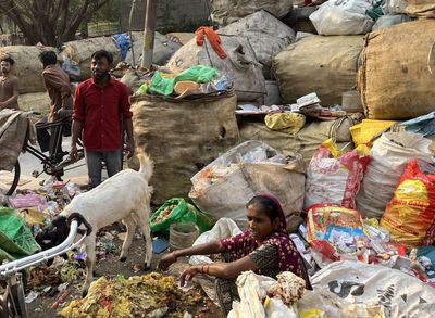 ‘Death in the Air’: Life in Delhi, the world’s most polluted city