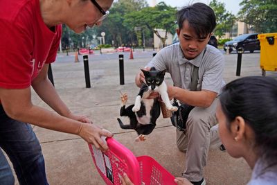 AP PHOTOS: Jakarta TNR effort aims to help stray cats like lively Hitam and feisty Aing Maung