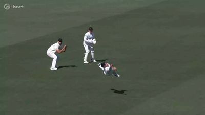 WATCH: Glenn Phillips' stunning flying catch against England