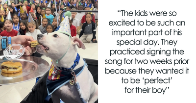 Netizens Are In Tears As These School Kids Learn Sign Language For Their Deaf Therapy Dog’s B-Day