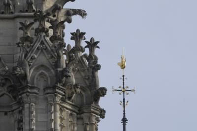 Notre Dame's Medieval Roof Structure Recreated With 1,200 Oak Trees