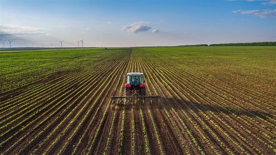 FMC, Mosaic, Nutrien: Top Agricultural Stocks With Big Potential