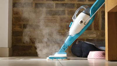 I use the non-toxic Black & Decker steam cleaner to cut my chore time in half – it's such a worthy winter sale spend