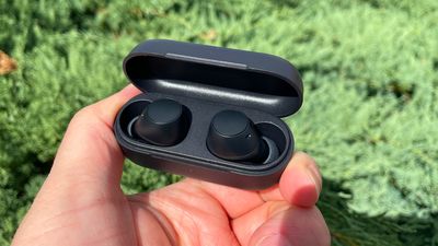 Marmalade dropper! Sony's Award-winning cheap earbuds have their price slashed – again