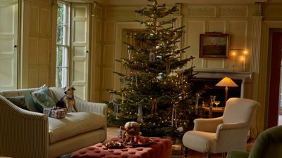 How to decorate a Christmas tree – simple steps to a showstopping design