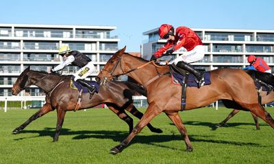 Alex Ferguson 2-1 Harry Redknapp: reason to cheer for pair at Newbury