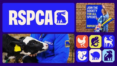 "This rebrand was a real high-wire act": How we Made the RSPCA's new visual identity