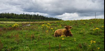 Changes to farmers’ inheritance tax are fair and could even help them in the long run – expert view