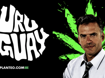 10+ Years Of Legal Weed In Uruguay: Will The New Government Expand Access?