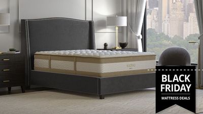 Saatva RX vs Contour5: Which mattress offers better support for back pain?