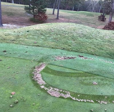 Cape Cod golf course suffers damage from vandals