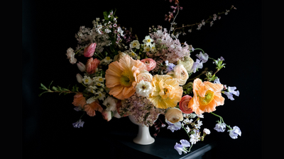 Floral foam alternatives – 12 natural, eco-friendly and reusable options for your flower arrangements, including one you can grab straight from the kitchen pantry