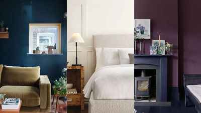 These rich-looking colors are favorites among designers for winter decorating – 6 sophisticated shades