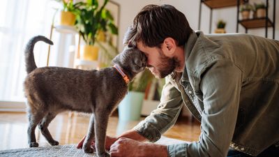 I've cracked the code on feline love – here are the sweetest ways cats show affection