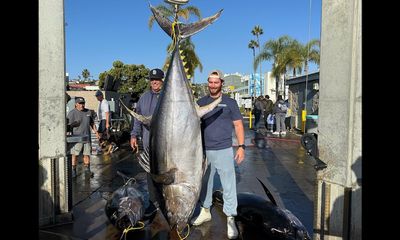 Fisherman lands a rare ‘super cow’ of world-record size