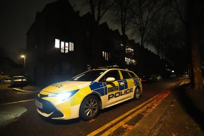 Man, 61, arrested after woman is fatally stabbed in south London