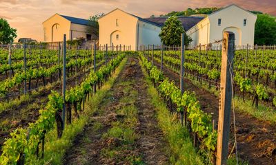 Let’s talk about Tokaji, the Hungarian wine that inspired Beethoven and Goethe