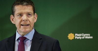 Plaid Cymru top new Senedd poll amid plunge in Labour support