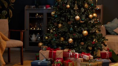 5 common Christmas tree mistakes that could shorten the lifespan of your tree