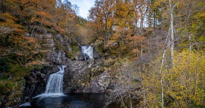 Highland landowners come together to revive an area larger than Edinburgh