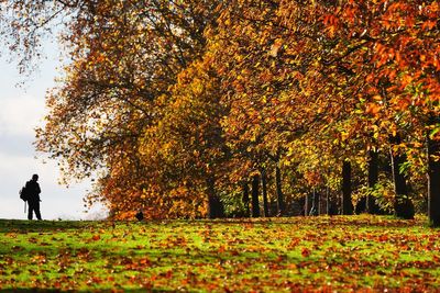 Weather: Met Office forecasts -7C freeze for parts of UK as London chills after wet weekend