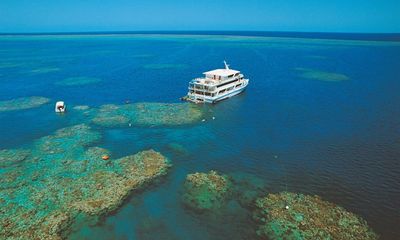 Cruise ships urged to ‘clean up their act’ amid concerns toxic effluent being dumped on Great Barrier Reef